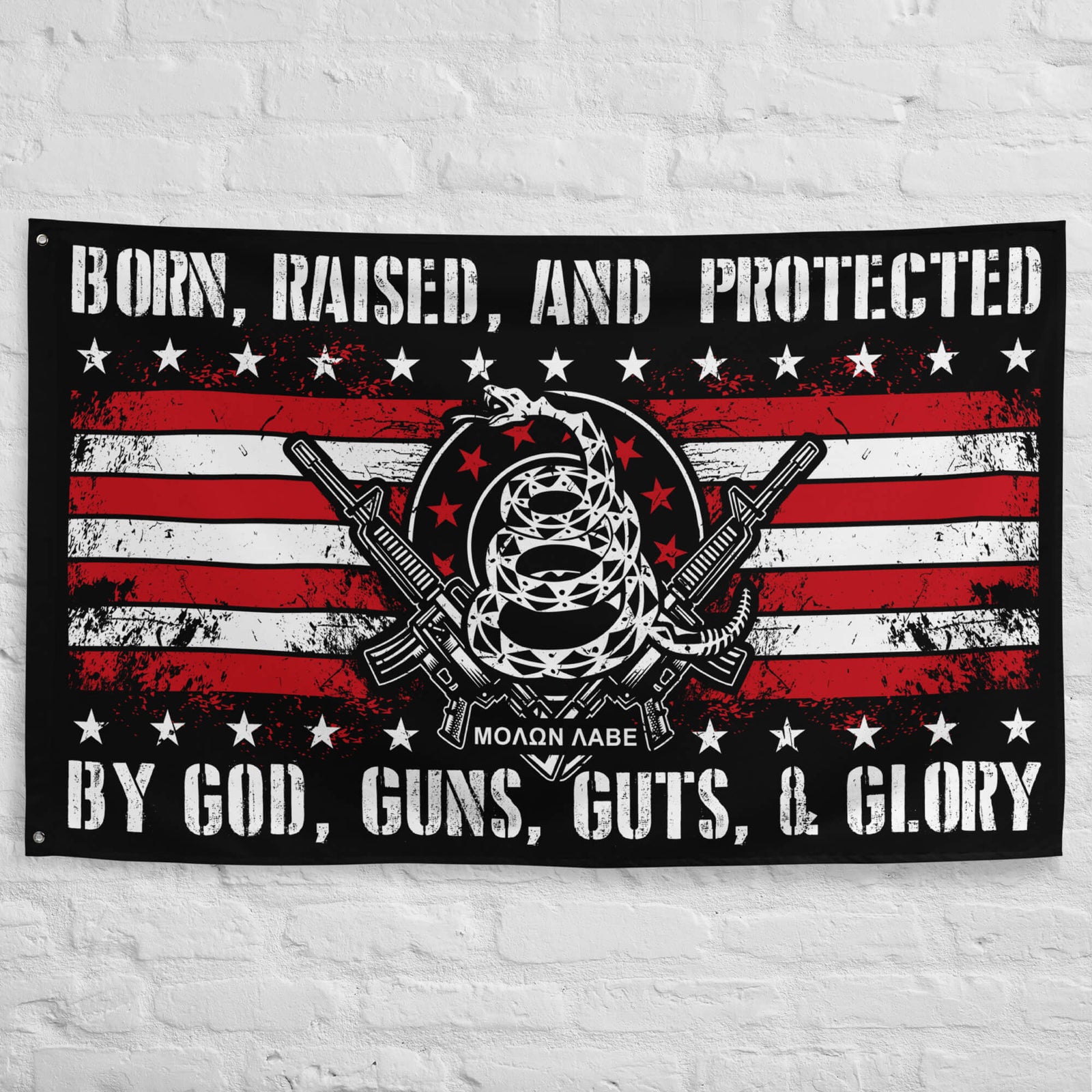 Protected by God, Guns, Guts & Glory! (Flag)