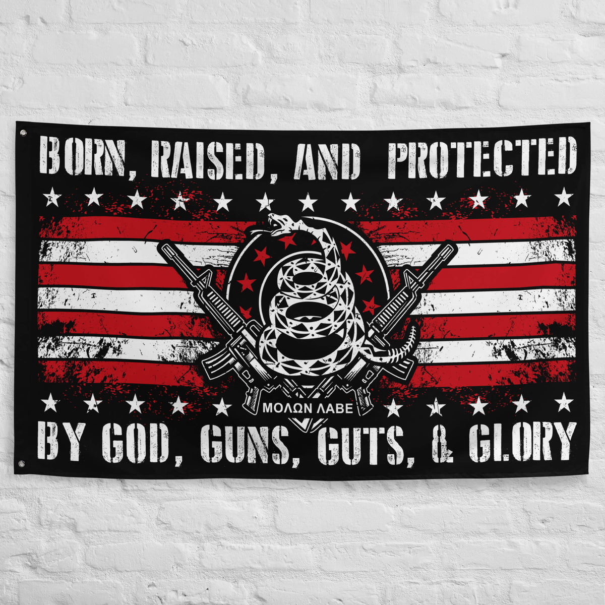Protected by God, Guns, Guts &amp; Glory! - 2nd Amendment Flag