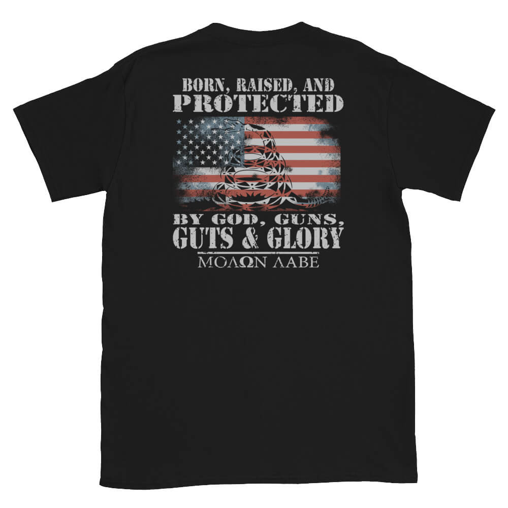Born, Raised, and Protected.... - 2nd Amendment T-Shirt