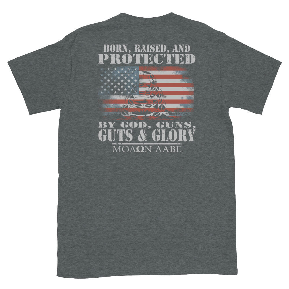 Born, Raised, and Protected.... - 2nd Amendment T-Shirt